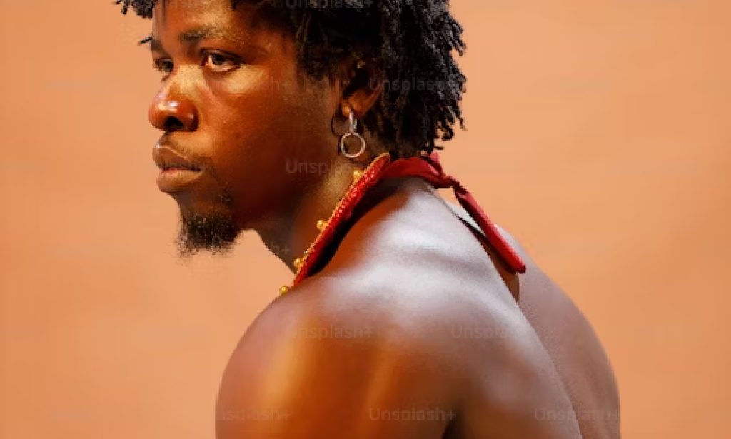 Story of The bastard prince