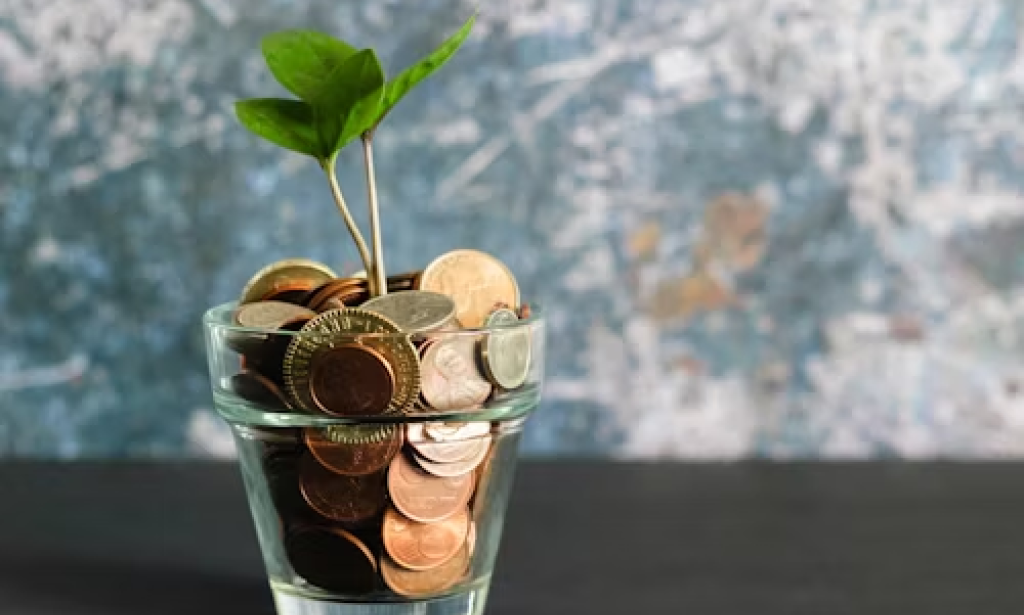 How I made my own money as a 17 yr old