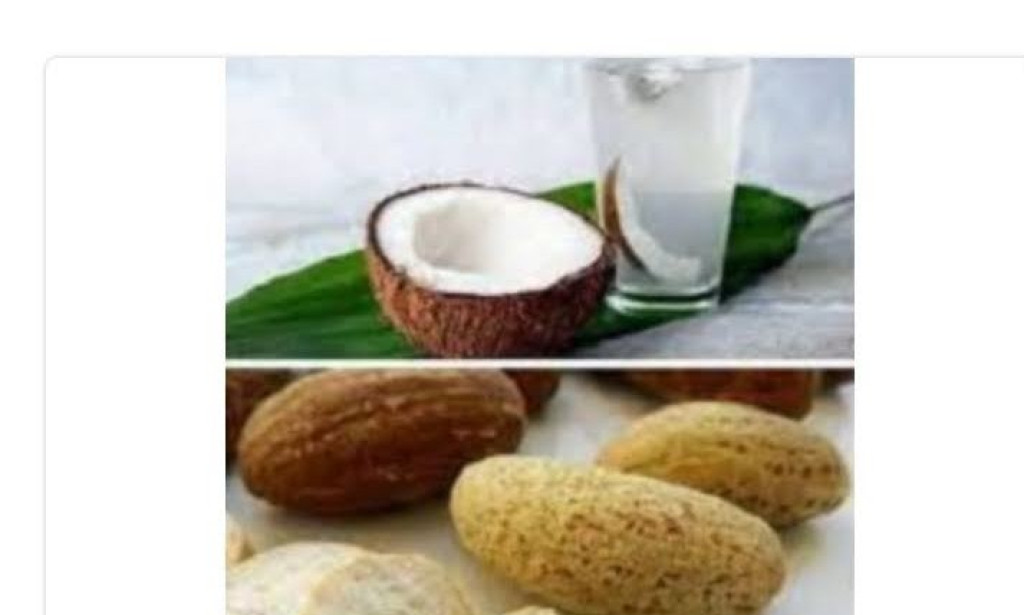 Bitter kola and coconut water