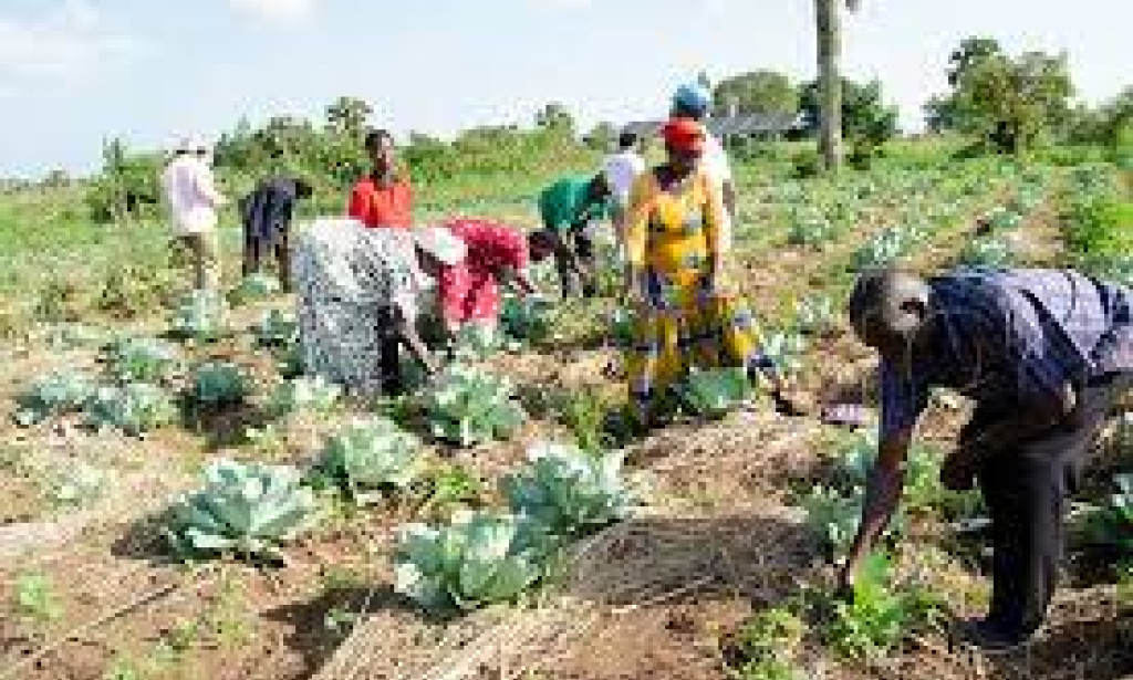Breaking Stereotypes:Youths in Modern Agriculture