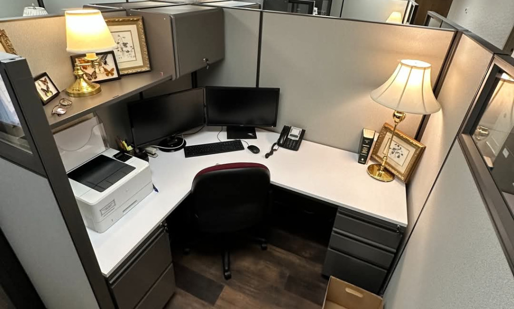 Top 10 Businesses with the Lowest Failure Rate