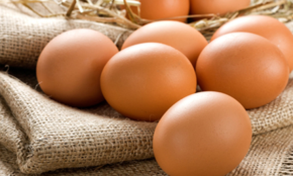 Are Eggs good for health?