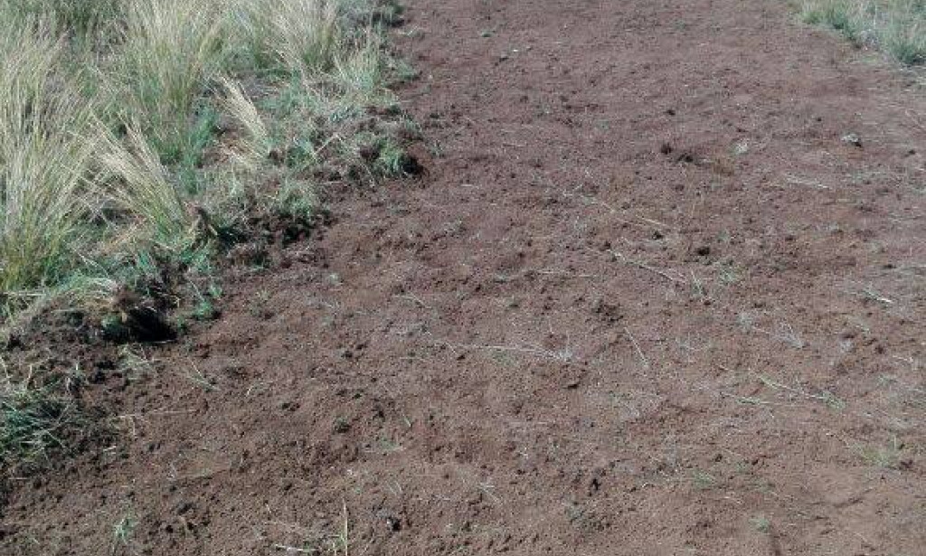 Protect Your Property and the Environment with a Construction Line