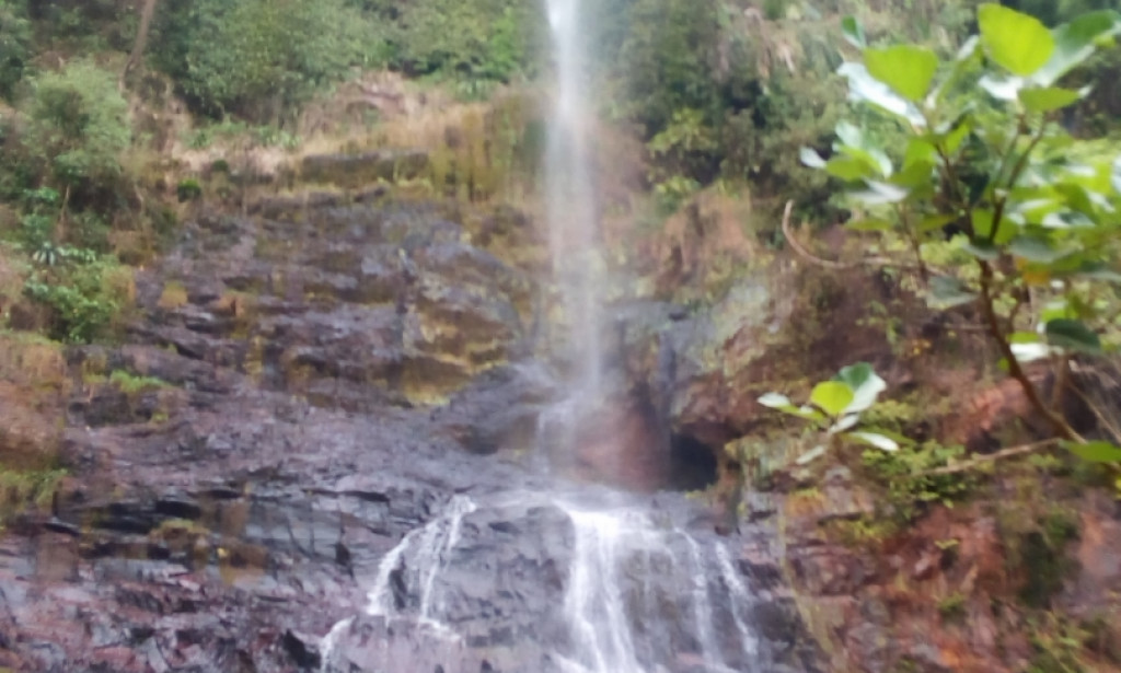 Do this and snakes will run from you