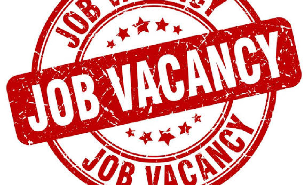 HR Executive Needed in Ibadan – Apply Before the Deadline!