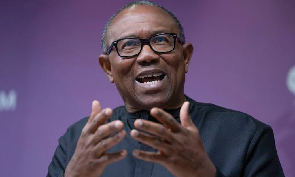 Peter Obi Slams Nigerian Democracy AS "Fragile And Dysfunctional"
