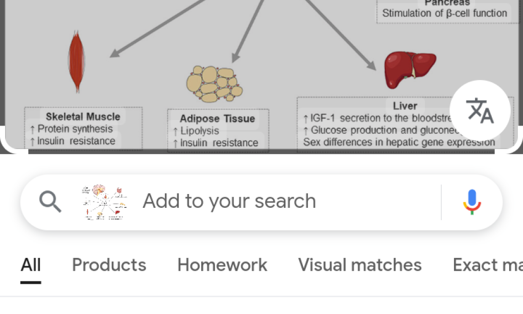 The influence of hormones on Growth