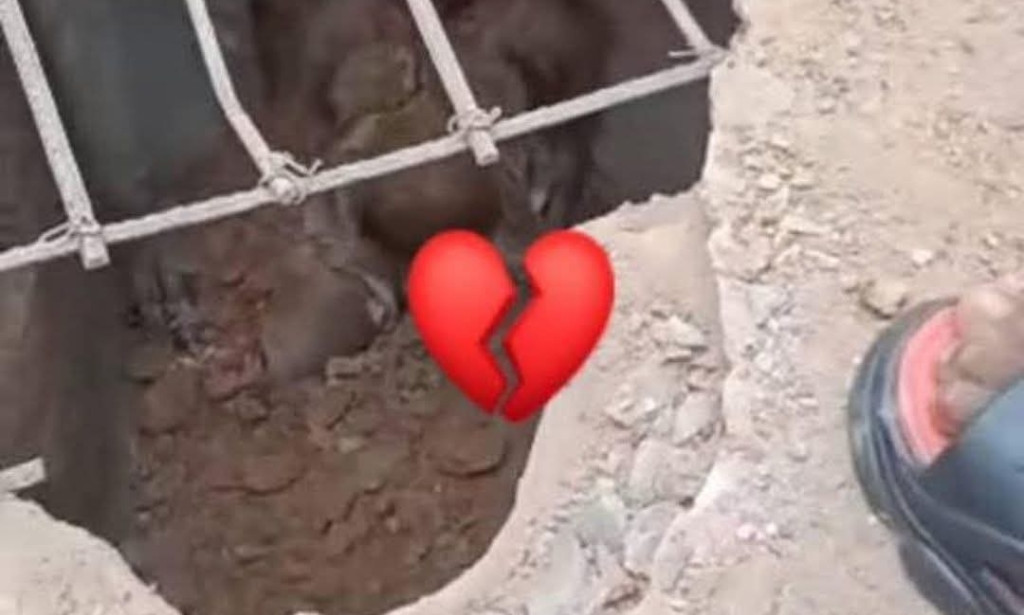 HORROR IN ENUGU: COMMUNITY UNCOVERS SOAK AWAY ALLEGEDLY FILLED WITH HUMAN REMAINS IN NATIVE DOCTOR'S COMPOUND