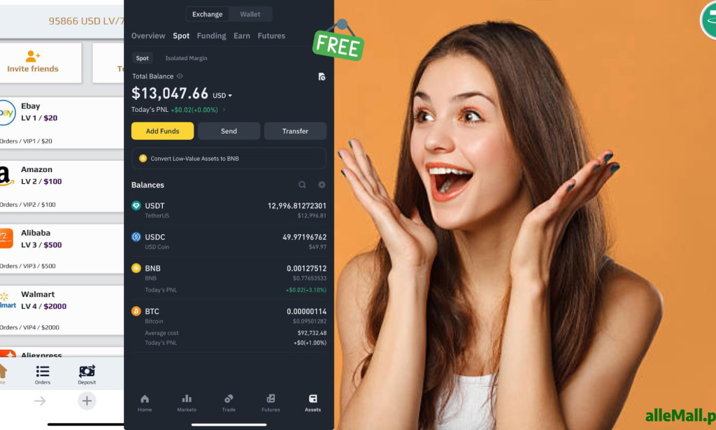 Allemall.pro Review: Is This Investment Earning Platform Legit or a Scam?