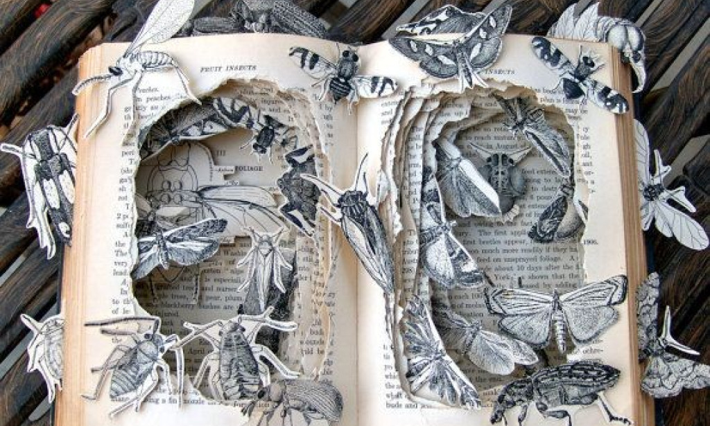 A writer's block or ADHD? What Seven Years of Writing Taught Me