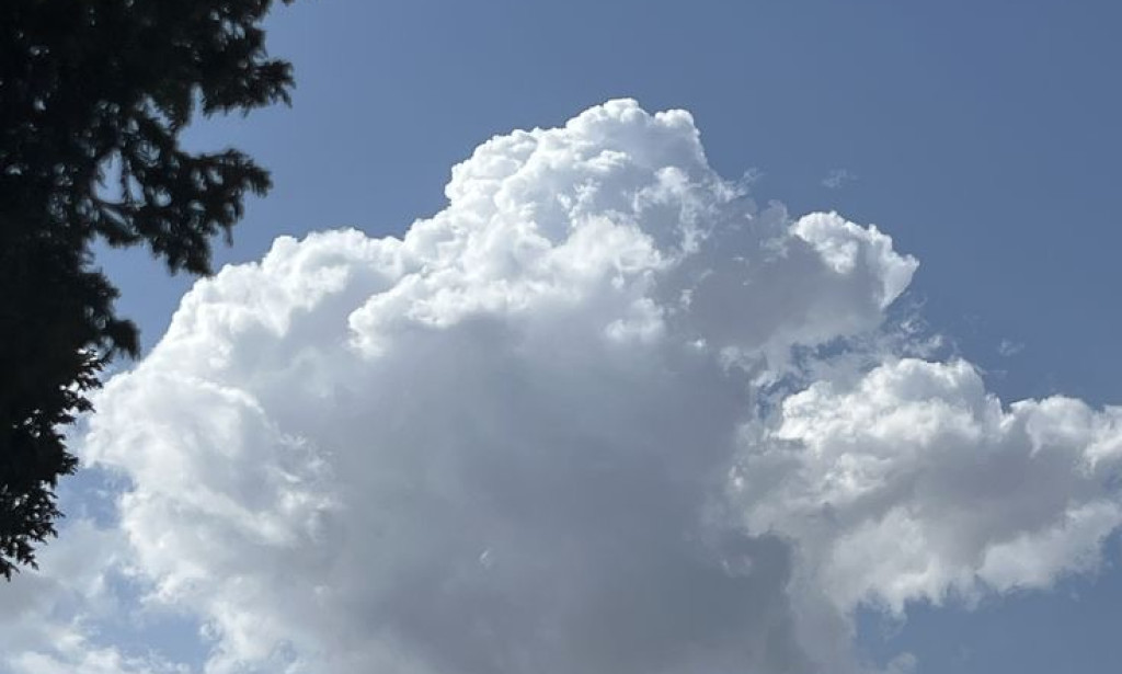 I Got Paid to Style a Mustache for a Talking Cloud ☁️👨🏻💈💵
