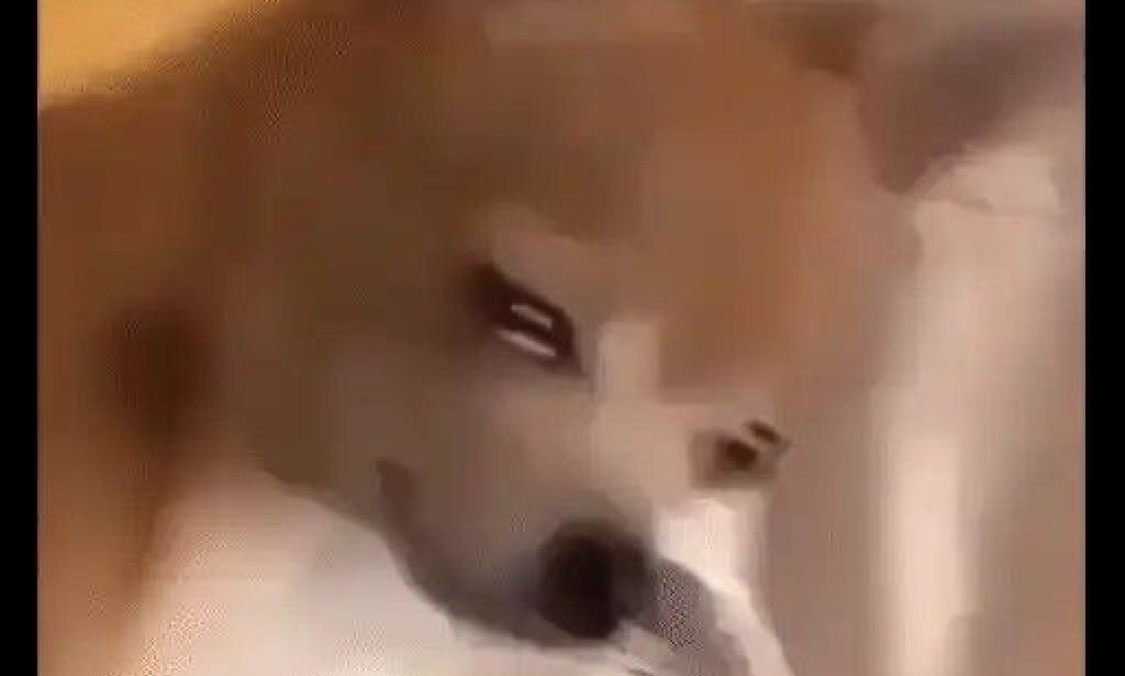 Get Paid in Crypto for Translating Dog Barks into Text 🐶📝₿