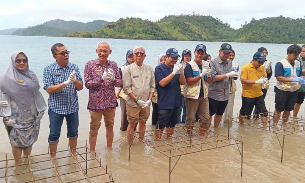 The Pessel Regency Government, along with the Vice Chancellor of UGM and the Director General of Forestry, planted mangroves at the Menoreh Mandeh Festival.