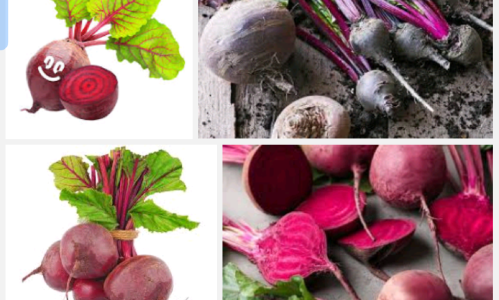 Role of George Washington in the French and Indian War