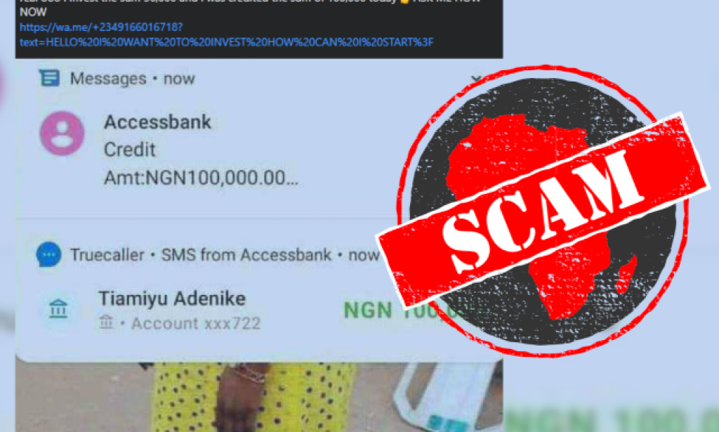 Palmpay Global Investment Review — Is It Legit or Another Online Scam?