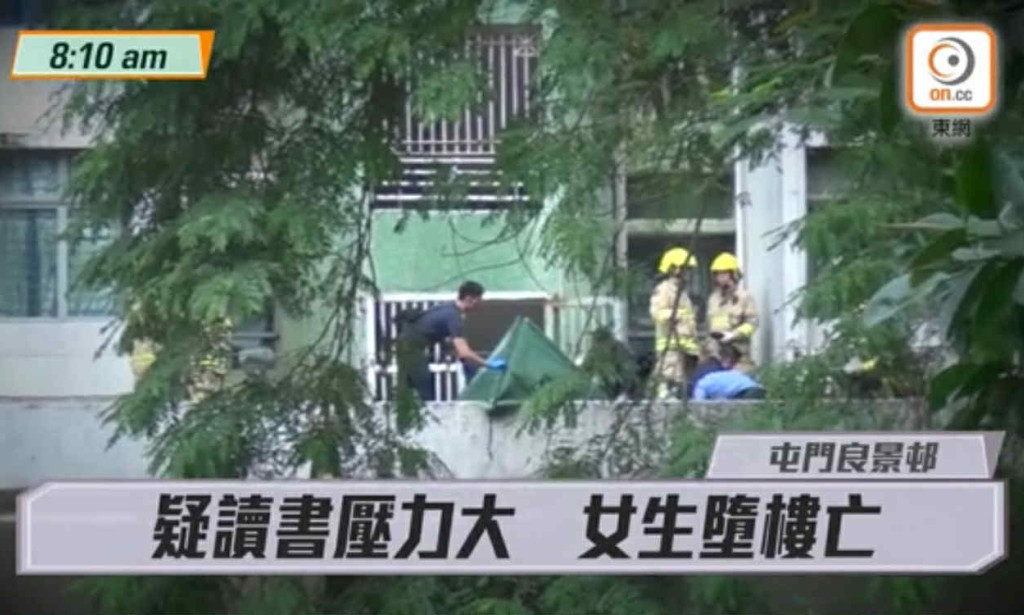 Emily hung (Facebook url Emilyhung528) case study