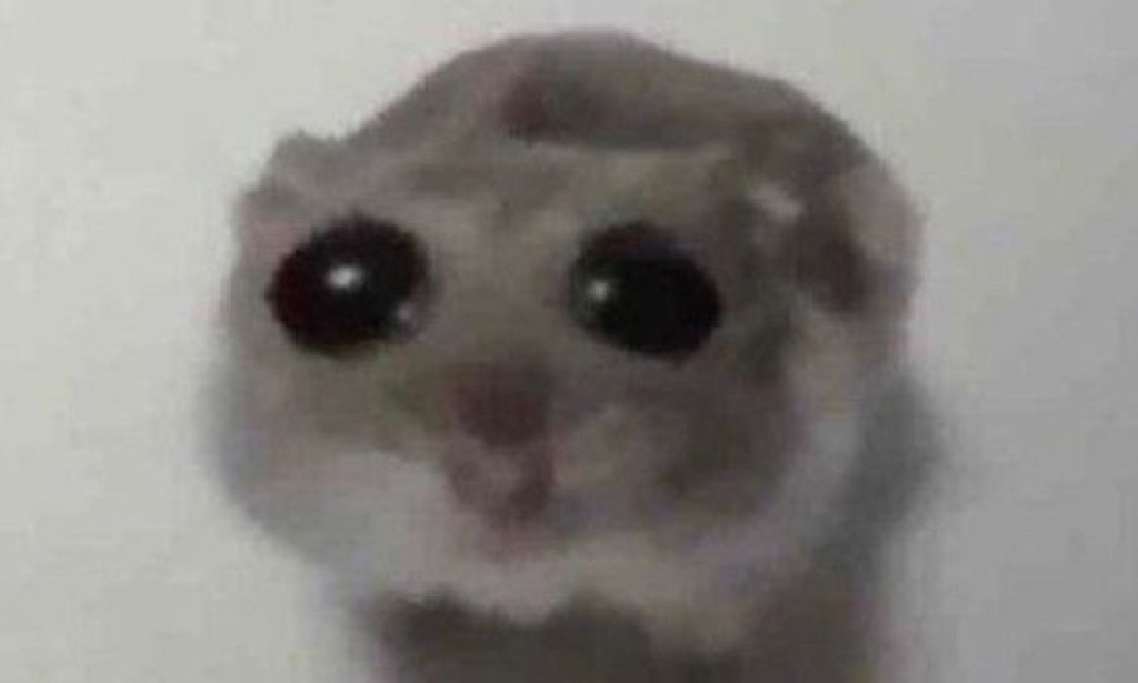 This App Pays You for Pretending Your Pet Can Speak 🐶🗣️💵: A Hilarious and Rewarding Experience