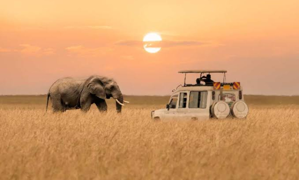 Top 5 African Countries to Visit in 2025