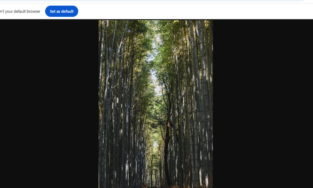 Top 10 Forests You Should Definitely Not Go Hiking In