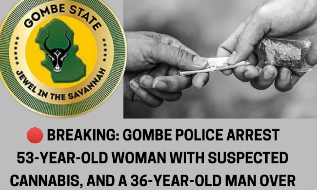 Police Arrest Woman for Drugs, Man for Stolen Tricycle in Gombe.