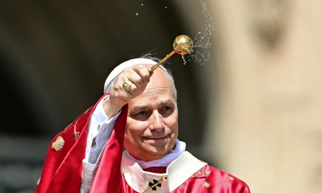 Pope Leo puts the brake on Church reforms