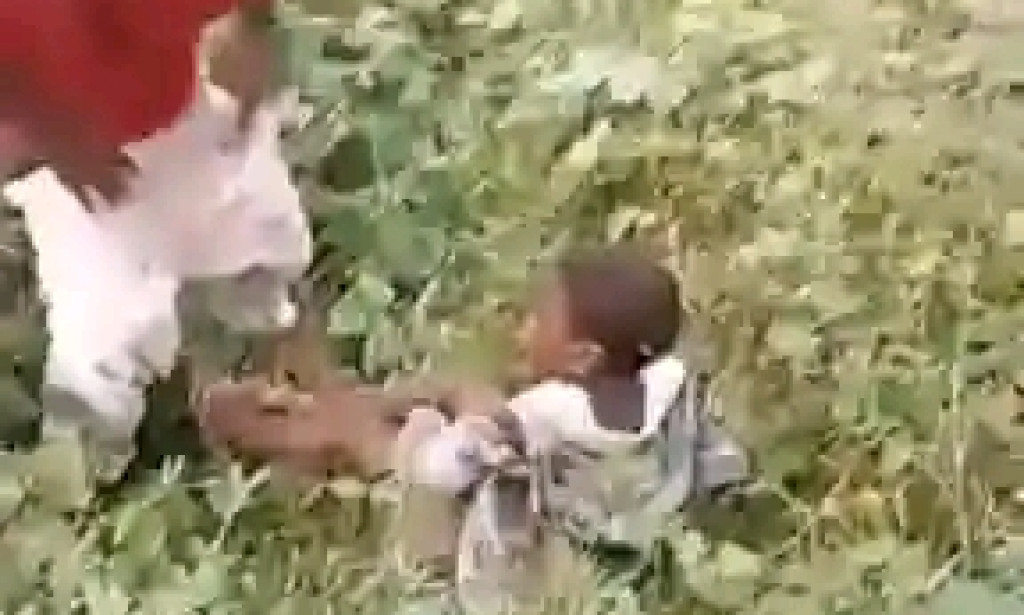 The world is ending.