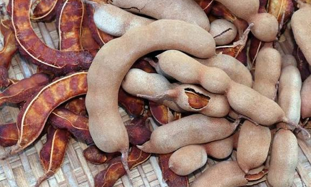 Benefits of consuming Tamarind