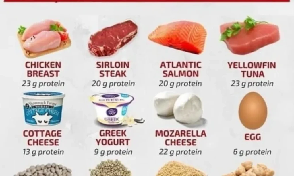 Quick High-Protein Breakfasts Under 300 Calories to Start Your Day Right