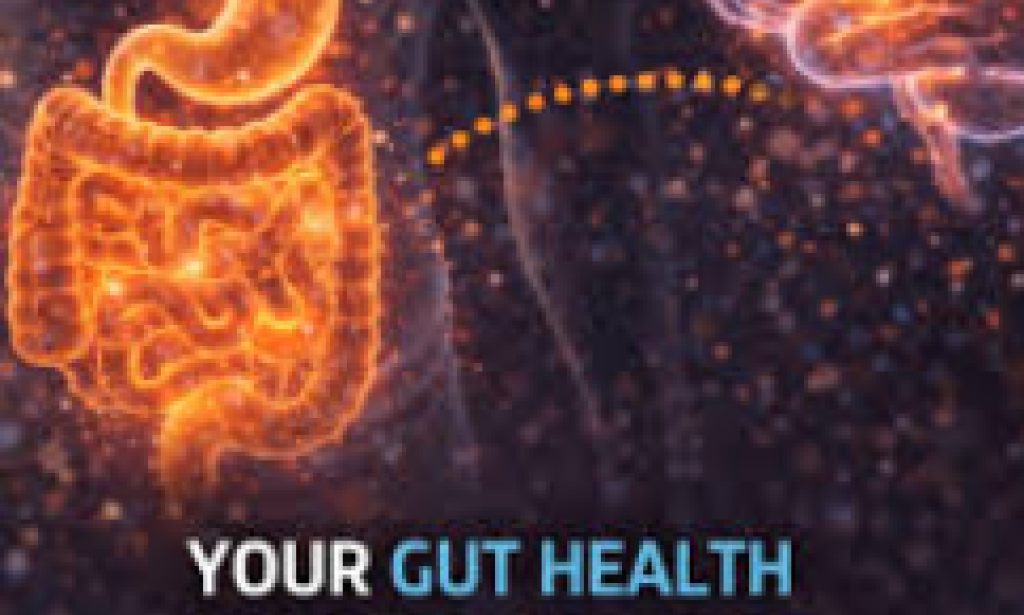 The "Second Brain" and the Future of Personalized Vitality