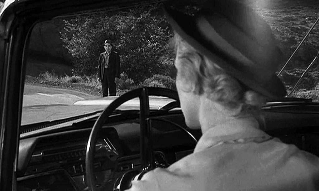 "this five years hitch hiker" colleague