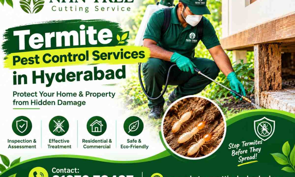 Termite Control in Hyderabad: Treatment, Benefits and Prevention