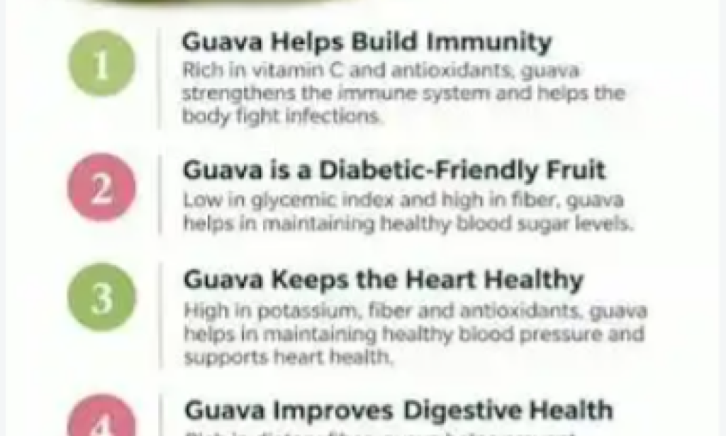 **GUAVA LEAVES: 12 SURPRISING HEALTH BENEFITS, HOW TO USE IT, AND WHAT IT CAN CURE**